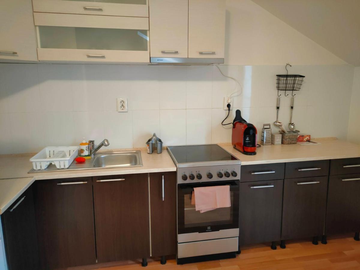 Iosefin House Studio Timișoara Zewnętrze zdjęcie