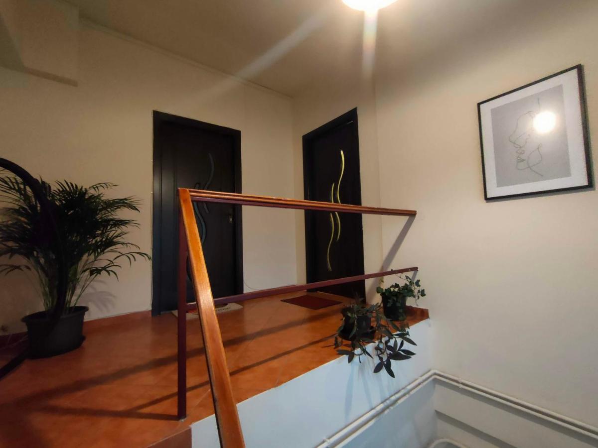 Iosefin House Studio Timișoara Zewnętrze zdjęcie