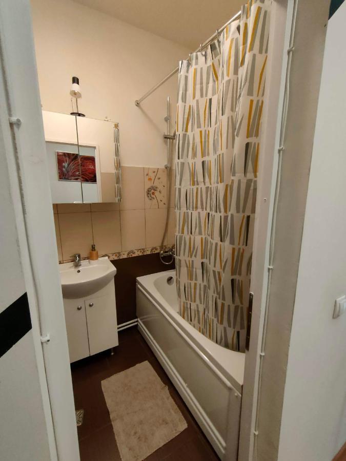 Iosefin House Studio Timișoara Zewnętrze zdjęcie