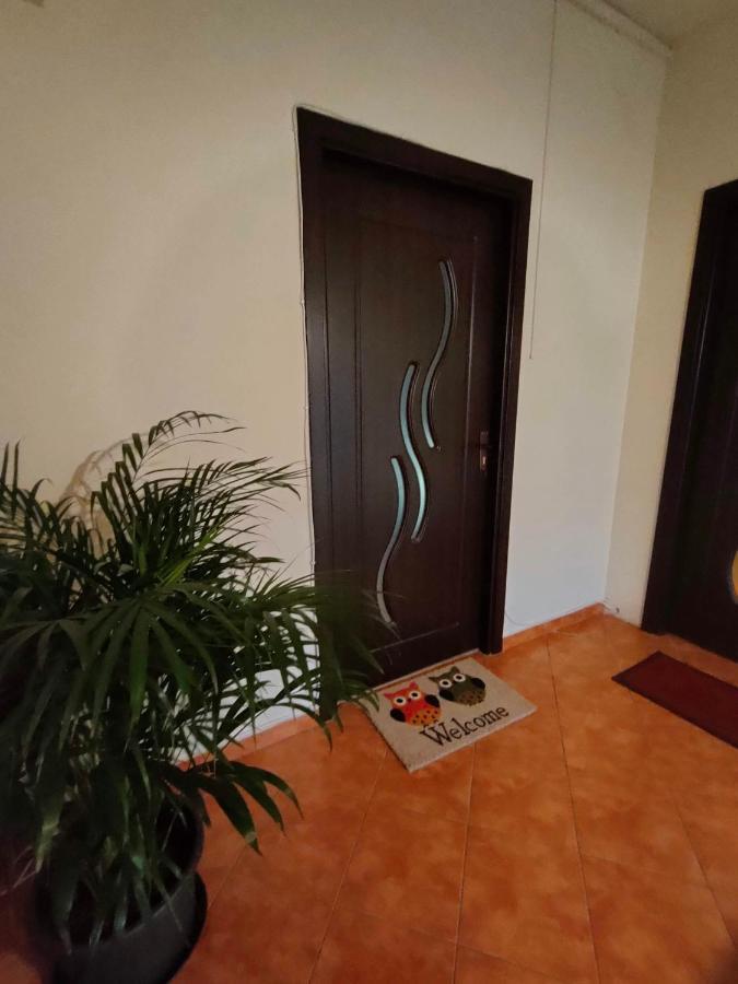 Iosefin House Studio Timișoara Zewnętrze zdjęcie