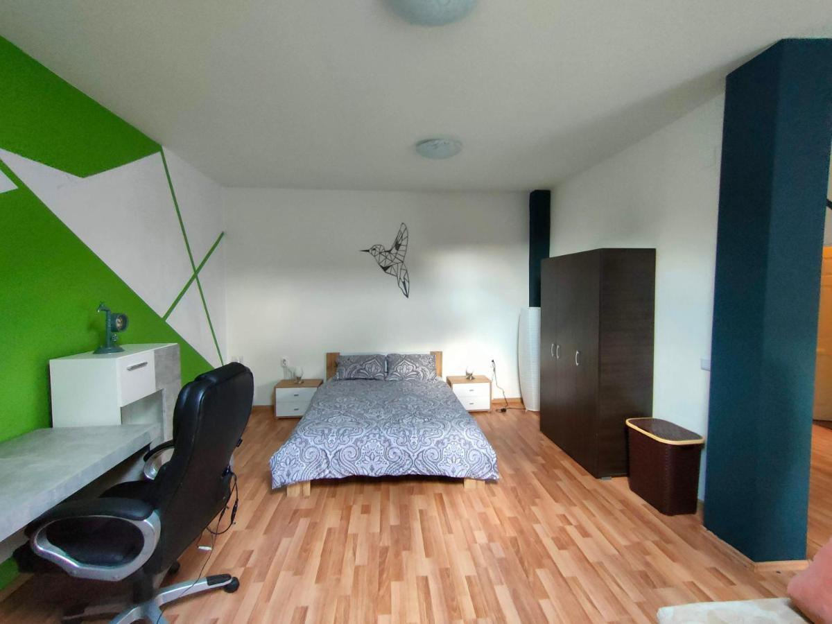 Iosefin House Studio Timișoara Zewnętrze zdjęcie