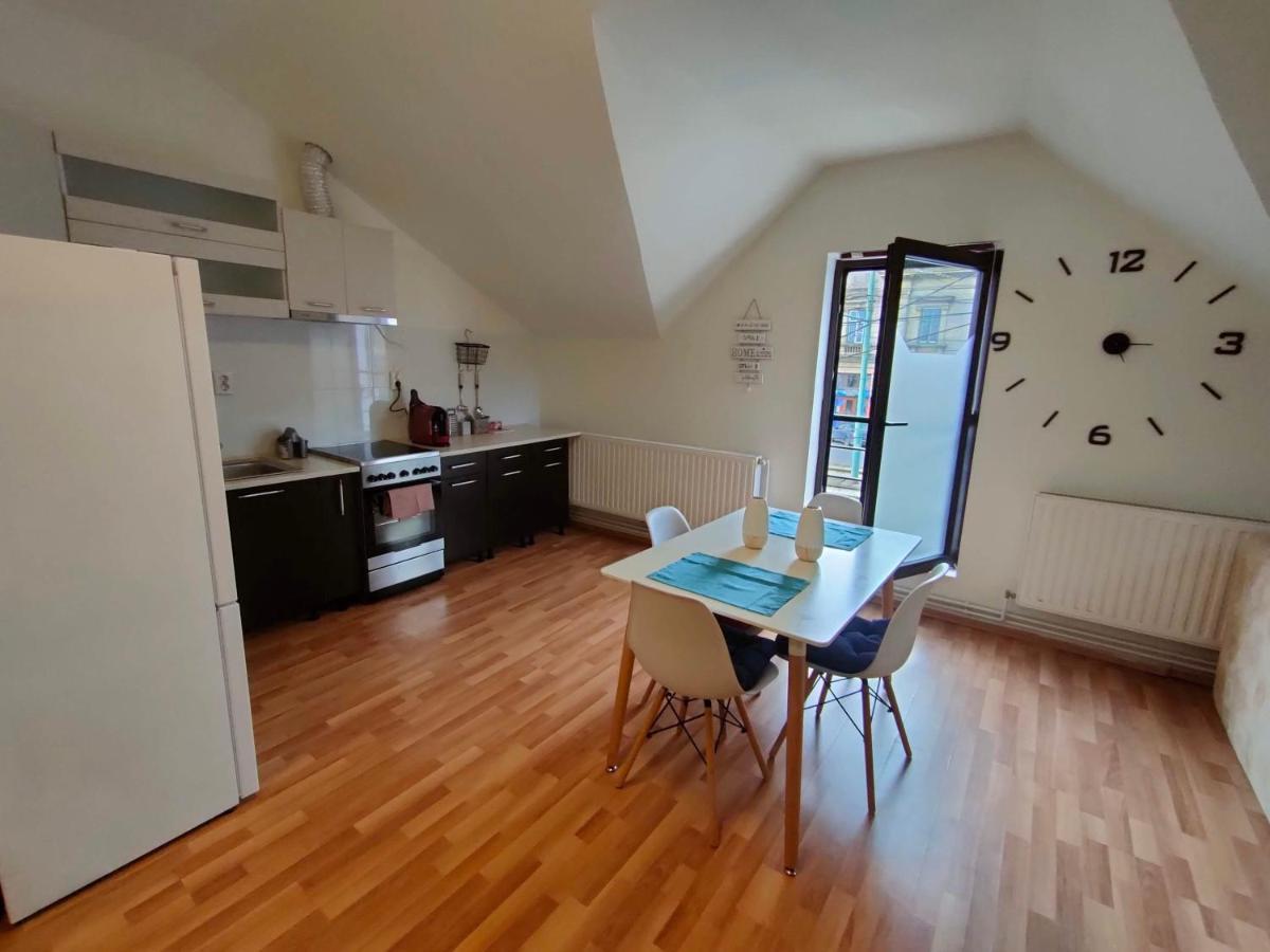 Iosefin House Studio Timișoara Zewnętrze zdjęcie